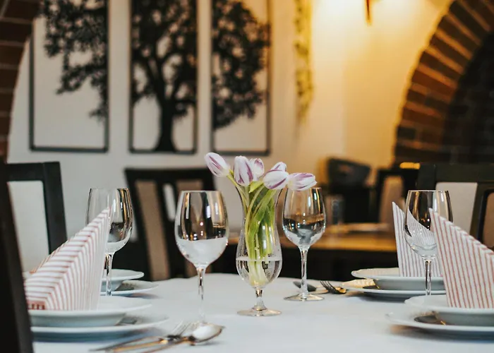 Polonia Aparthotel Racibórz